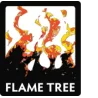 A Flame Tree